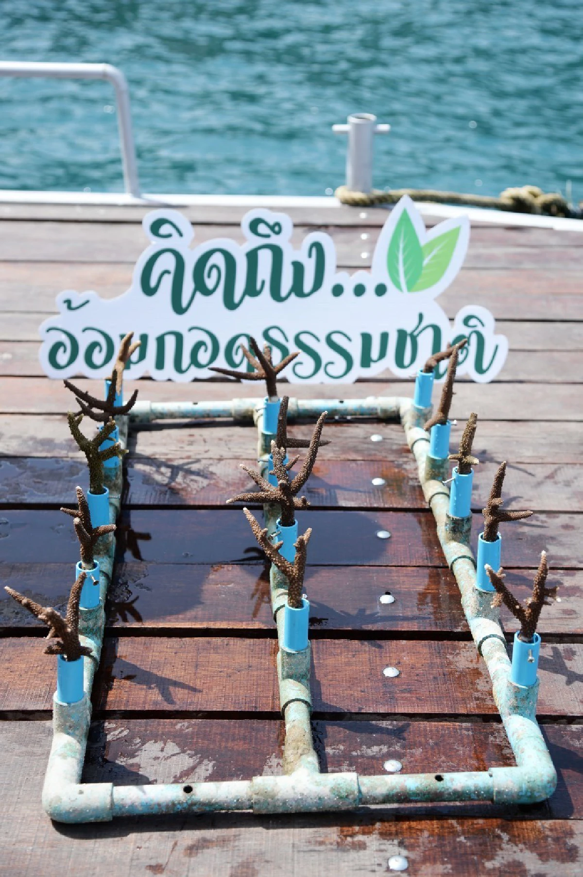 คิดถึง...อ้อมกอดธรรมชาติ เกาะทะลุ ประจวบคีรีขันธ์