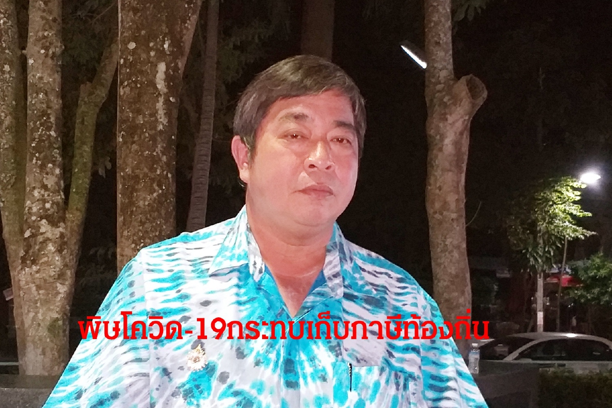 พิษโควิด-19กระทบจัดเก็บภาษีท้องถิ่นเล็งตัดงบไม่จำเป็นออก พิษโควิด-19กระทบจัดเก็บภาษีท้องถิ่นเล็งตัดงบไม่จำเป็นออก
