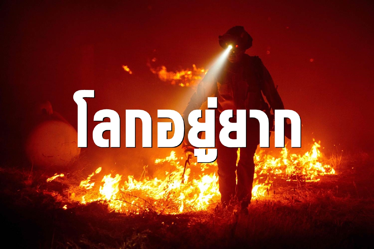 นักวิทยาศาสตร์เตือน โลกส่งสัญญาณอันตราย นักวิทยาศาสตร์เตือน โลกส่งสัญญาณอันตราย