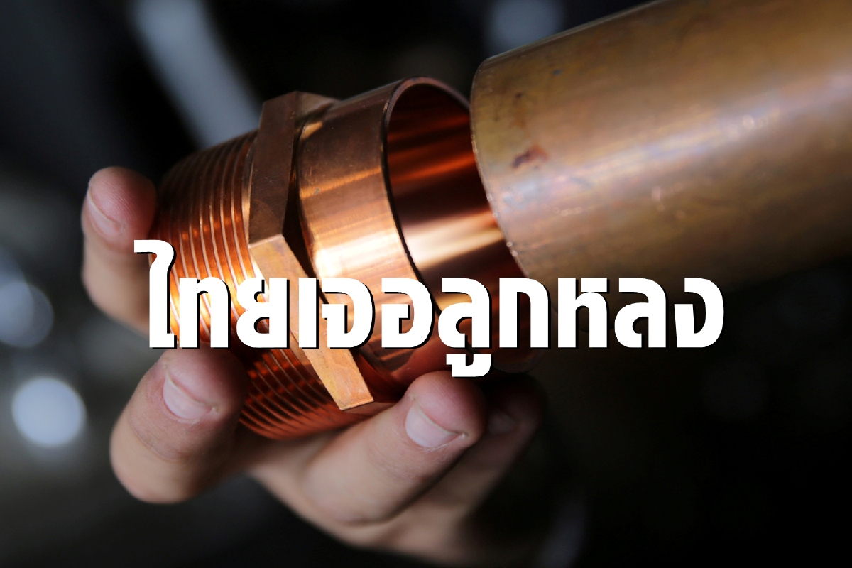 ไทยเจอลูกหลง อินเดียลดนำเข้าเพื่อยันจีน ไทยเจอลูกหลง อินเดียลดนำเข้าเพื่อยันจีน