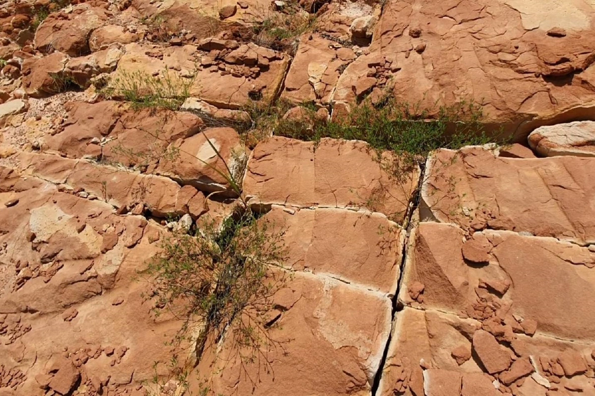 ลุ้น!แหล่งท่องเที่ยวใหม่ พบลานหินแตกคล้ายฝีมือมนุษย์ยุคเก่า 