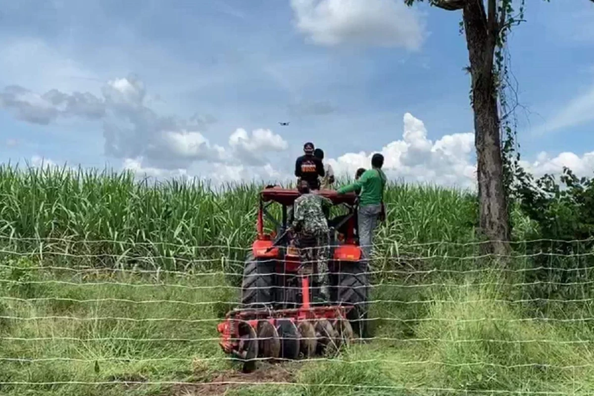 คว้าน้ำเหลว!จนท.ไม่เจอหมีควายตัวใหญ่ที่ตามหามาหลายวัน