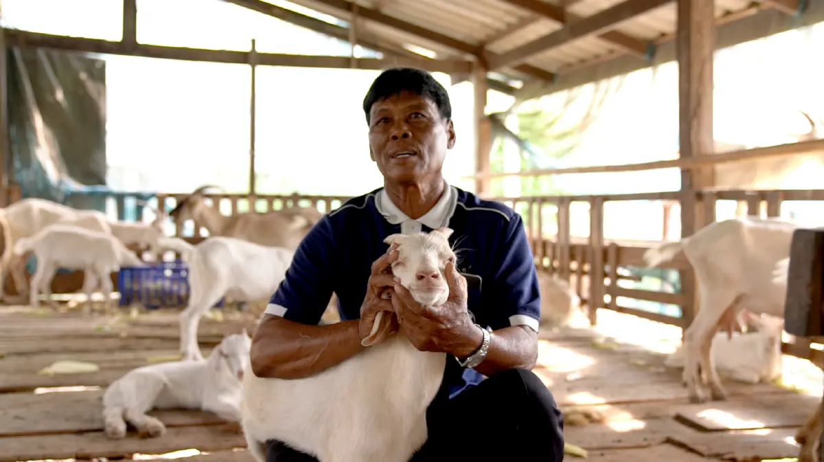 เจ้าแห่งแพะเงินล้าน “สะอาด เมี้ยนแม้น”