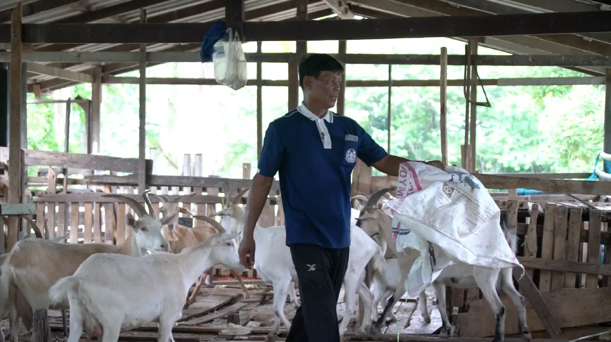 เจ้าแห่งแพะเงินล้าน “สะอาด เมี้ยนแม้น”