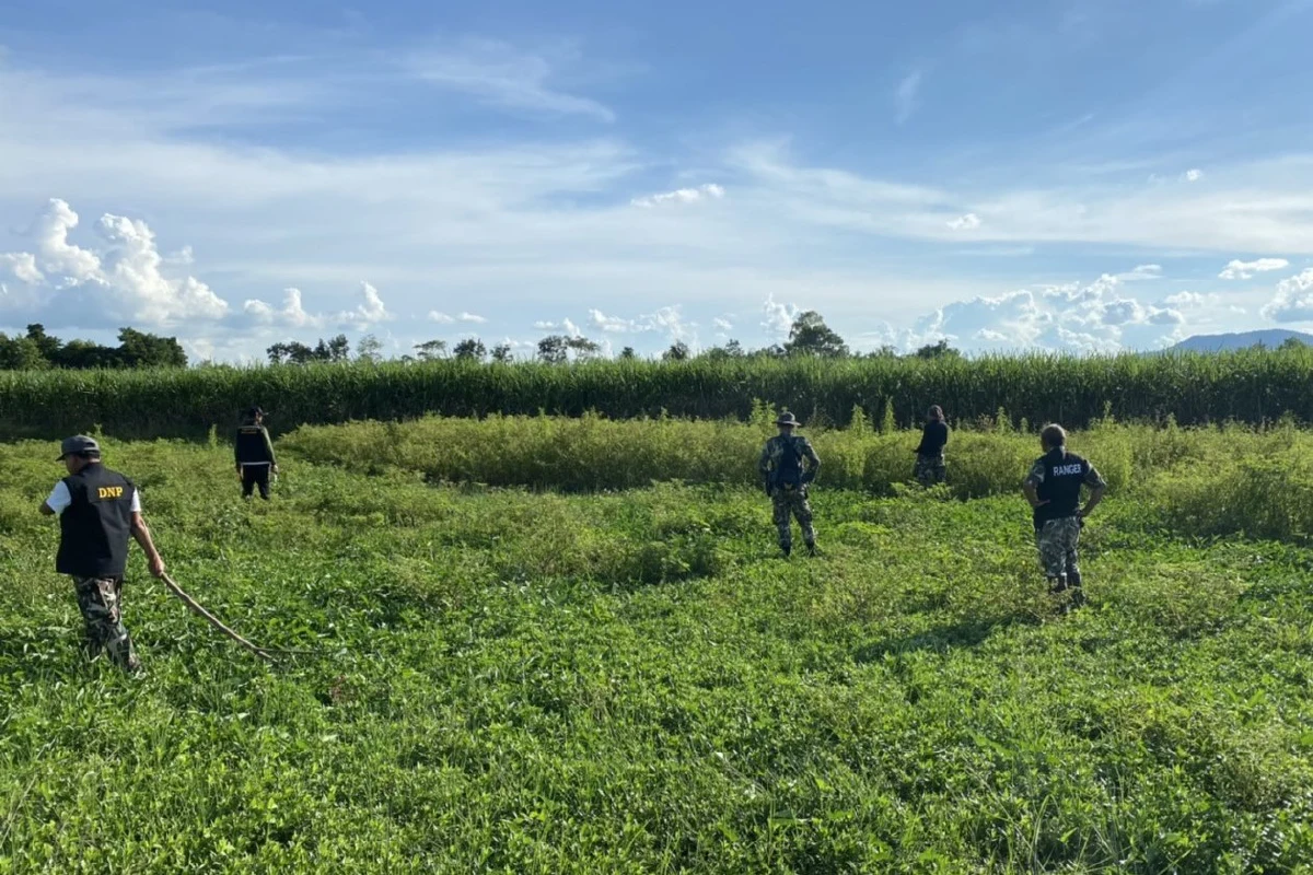 คว้าน้ำเหลว!จนท.ไม่เจอหมีควายตัวใหญ่ที่ตามหามาหลายวัน