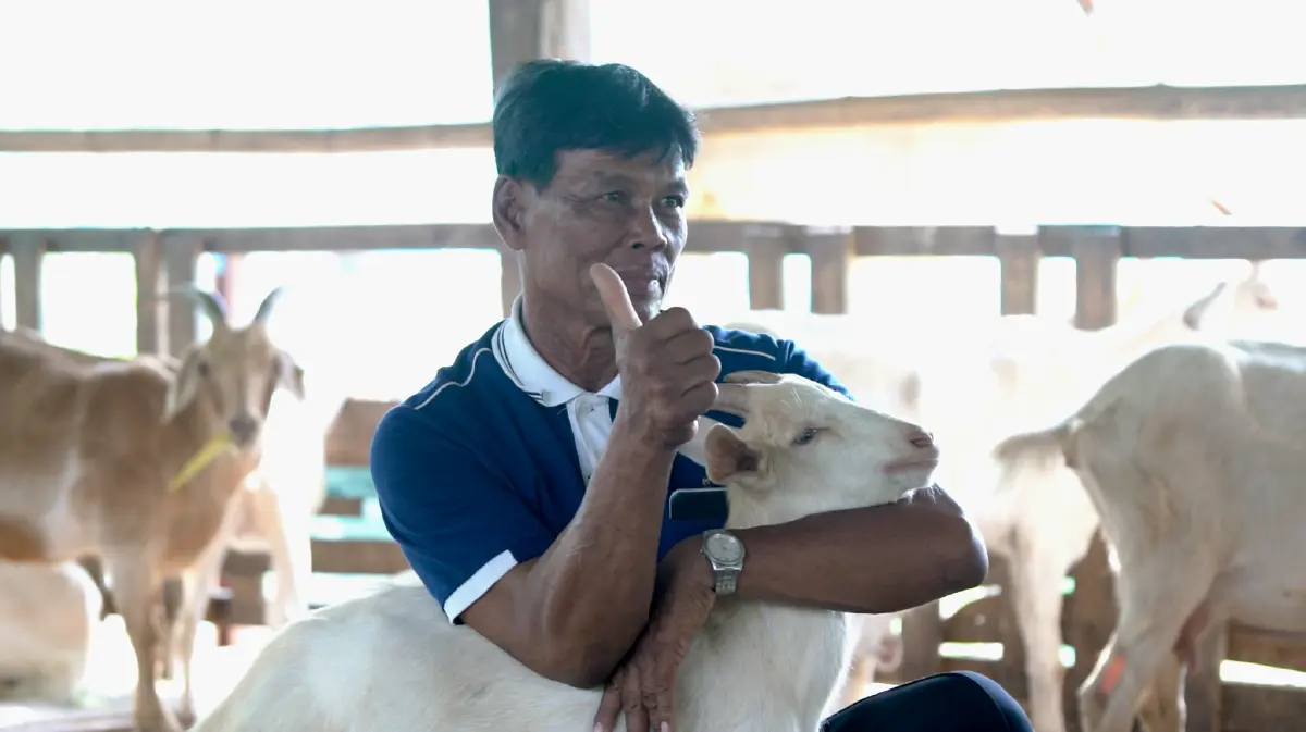 เจ้าแห่งแพะเงินล้าน “สะอาด เมี้ยนแม้น”