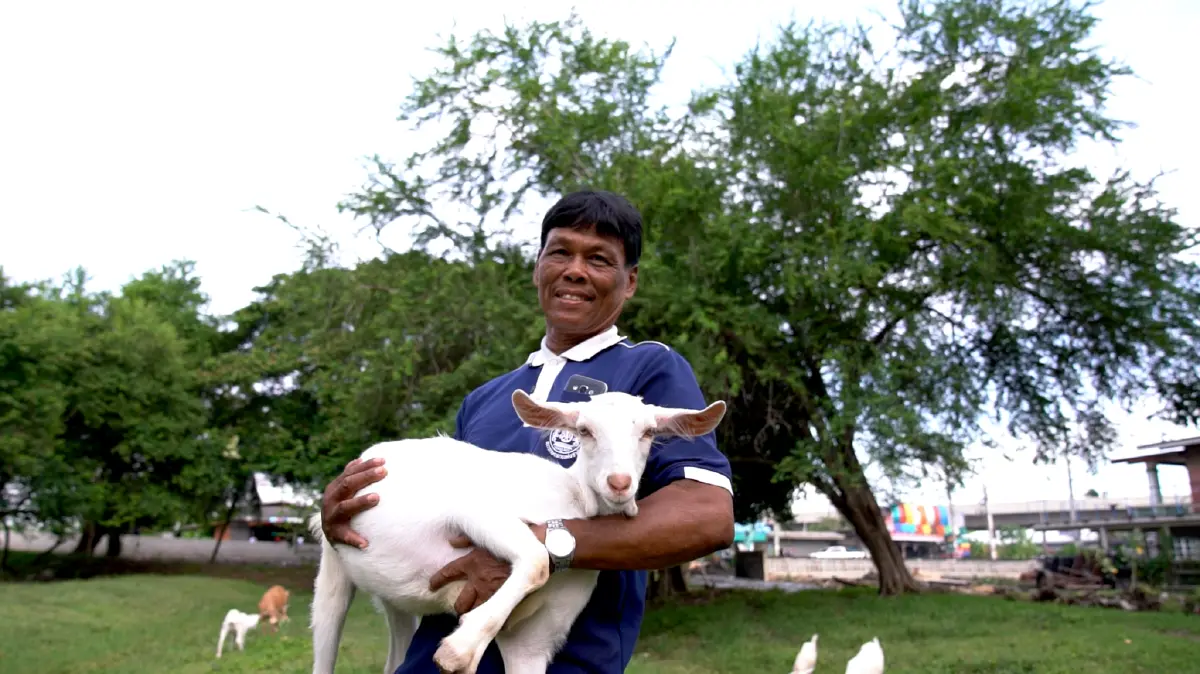 เจ้าแห่งแพะเงินล้าน “สะอาด เมี้ยนแม้น”