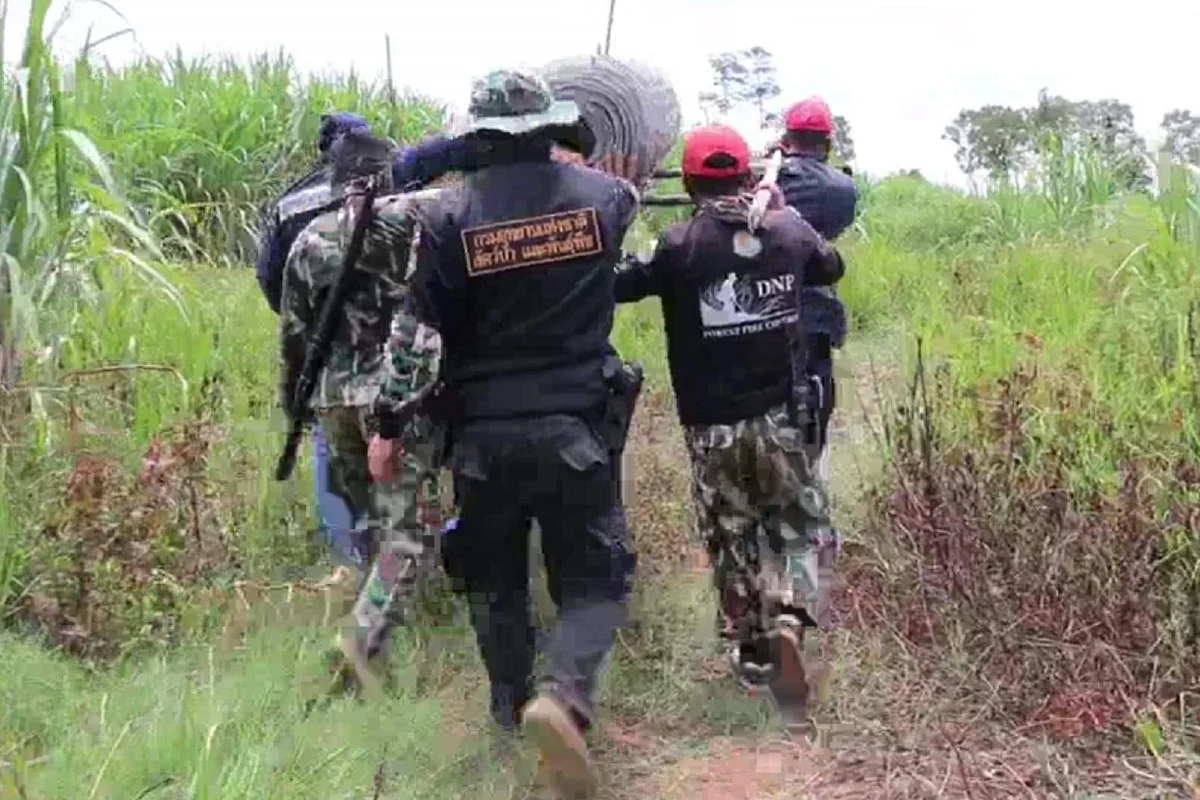 คว้าน้ำเหลว!จนท.ไม่เจอหมีควายตัวใหญ่ที่ตามหามาหลายวัน