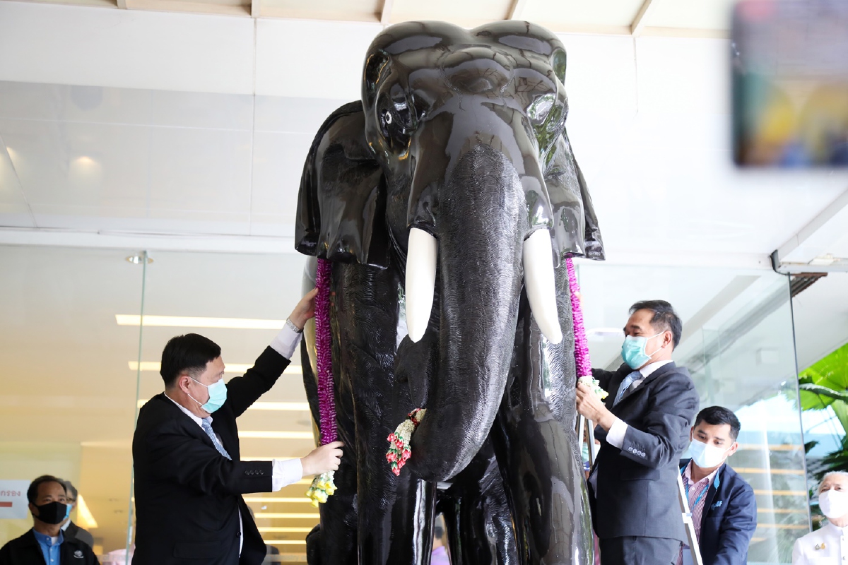 คลังบวงสรวงองค์ช้างคู่ สร้างกำลังใจในแก้ปัญหาเศรษฐกิจสู้โควิด-19 คลังบวงสรวงองค์ช้างคู่ สร้างกำลังใจในแก้ปัญหาเศรษฐกิจสู้โควิด-19