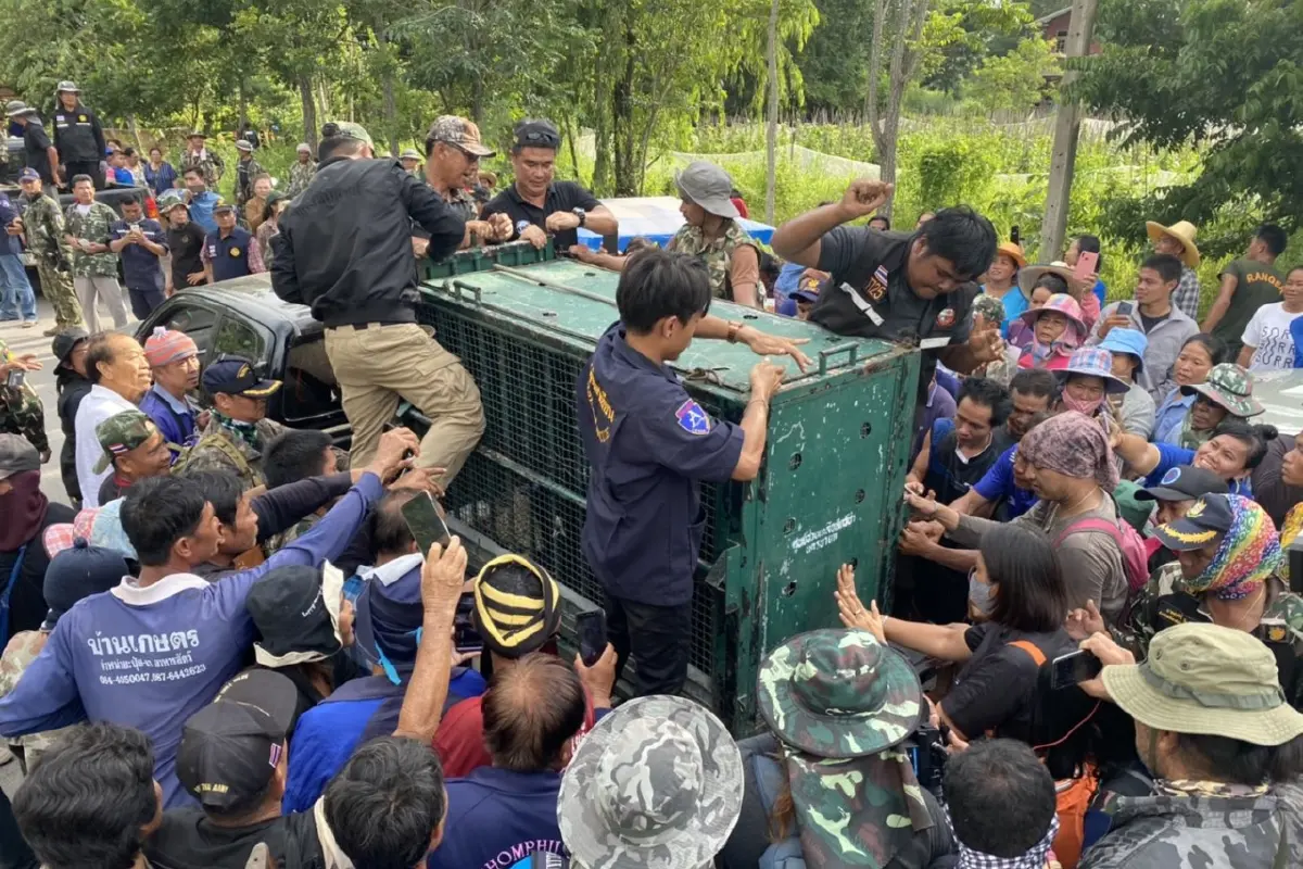 "หมีควาย"ถูกจับแล้ว!สิ้นฤทธิ์ด้วยยาสลบตามล่าอยู่ 10 วัน