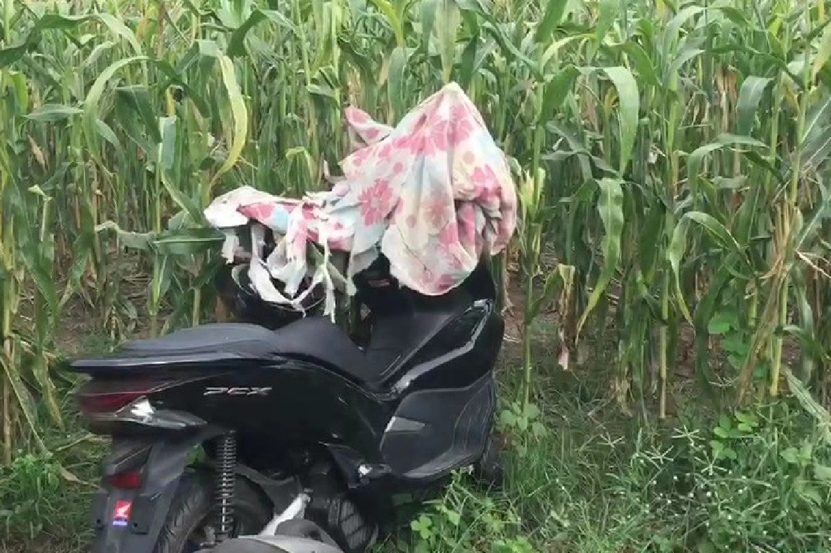 รวบแล้ว! นักโทษตีเนียนแต่งชุดผู้คุมแหกคุกเพชรบูรณ์