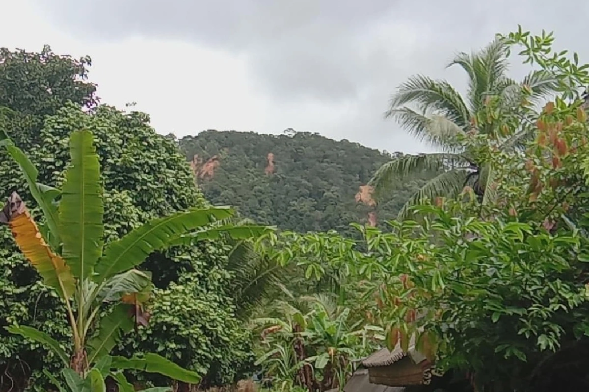 เกาะช้างอ่วม!รับผลกระทบ"โนอึล"เฟอร์รี่ข้ามฝากเฉพาะคลื่นลมสงบ