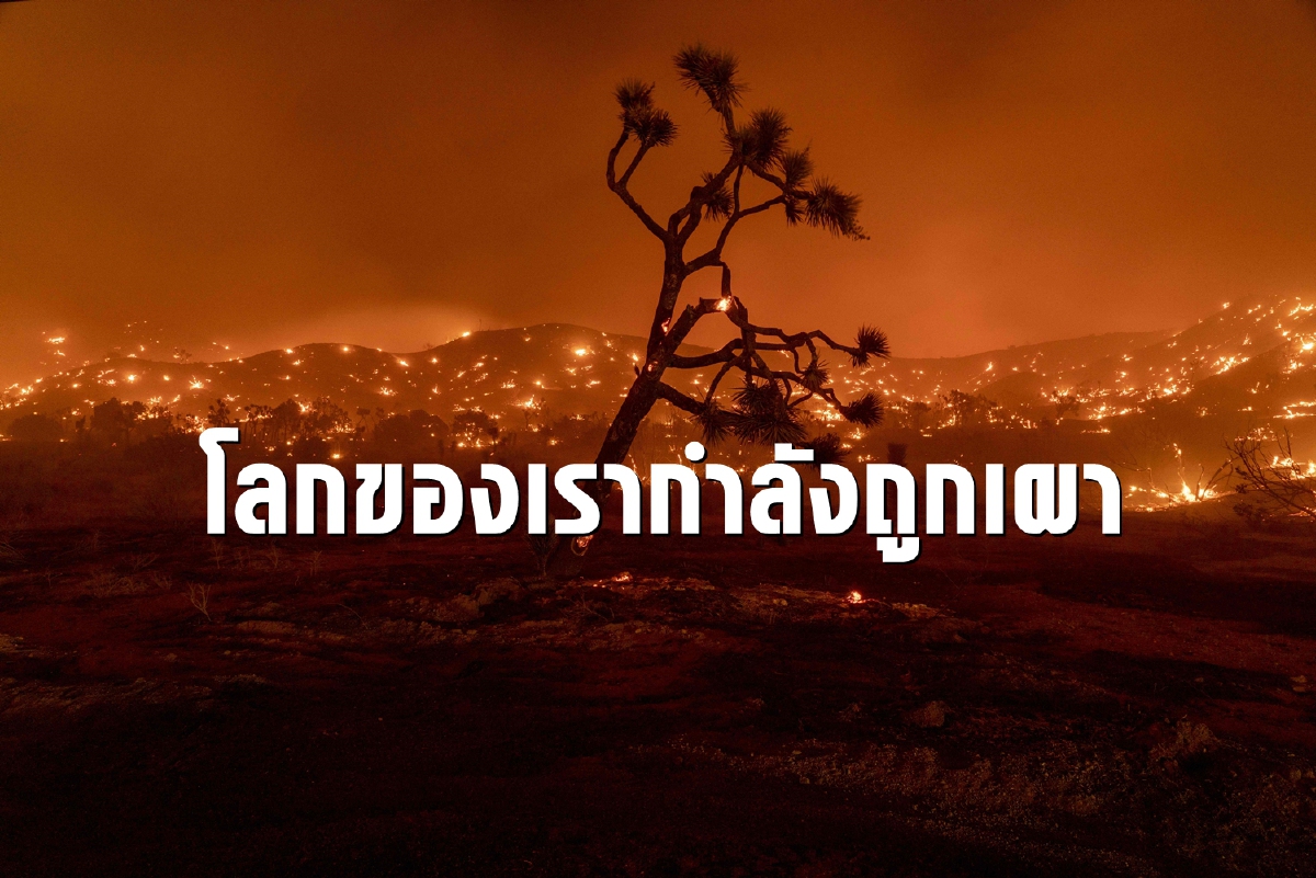 โลกกำลังถูกเผา ไฟป่าครั้งใหญ่ลุกลามหลายทวีป โลกกำลังถูกเผา ไฟป่าครั้งใหญ่ลุกลามหลายทวีป