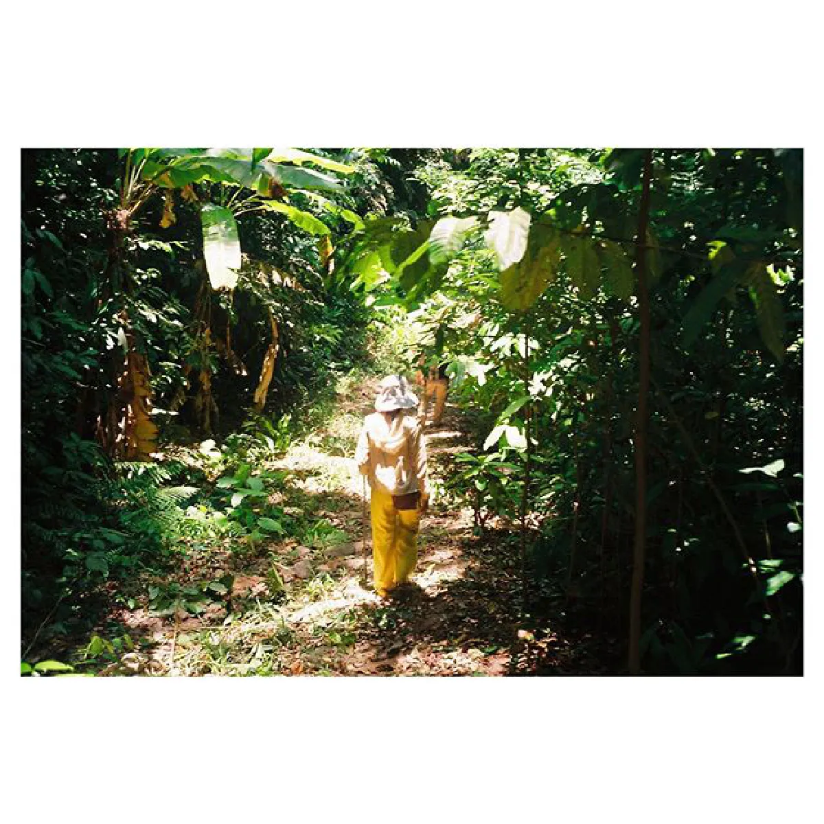 เวียร์ ลงภาพ เบลล่า ชมแฟนสาวออกสื่อ..หลังพาไปเดินป่าทริปเกาะเต่า