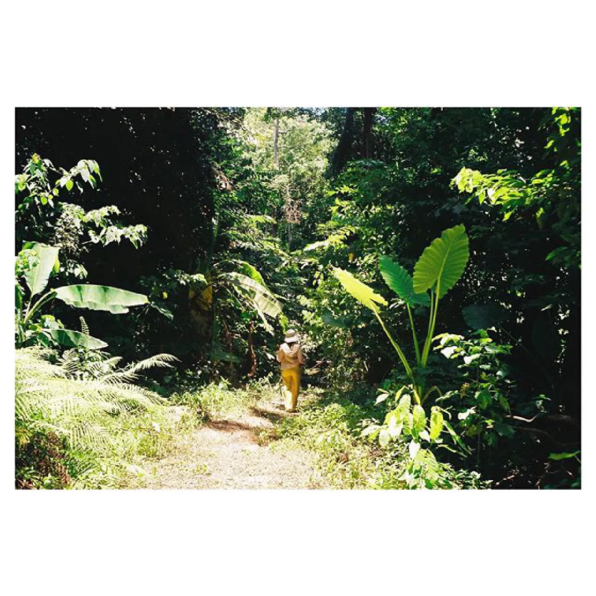 เวียร์ ลงภาพ เบลล่า ชมแฟนสาวออกสื่อ..หลังพาไปเดินป่าทริปเกาะเต่า