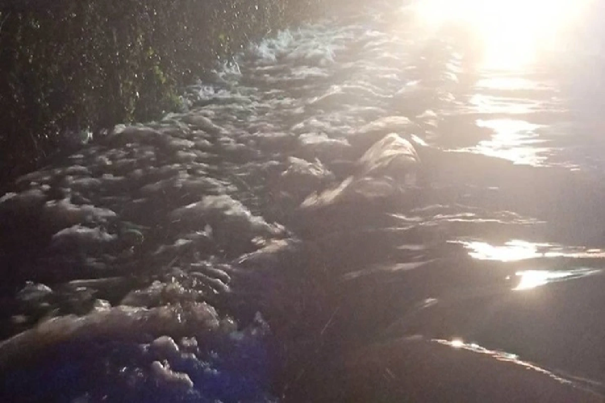 ฝนตกหนักตลอดคืน! น้ำป่าเขาใหญ่ ทะลักท่วมบ้านกว่า 40 หลัง