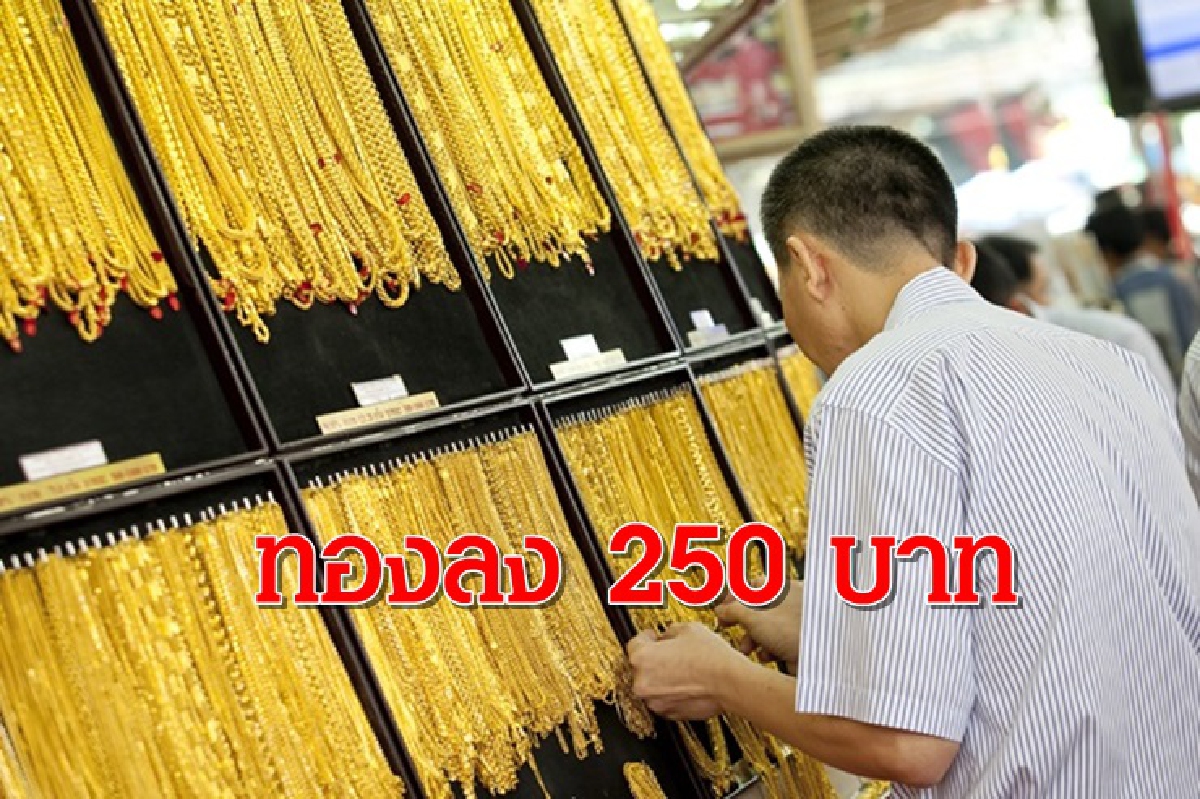ทองคำ 24 ก.ย. ลง 250 บาท ทองคำ 24 ก.ย. ลง 250 บาท