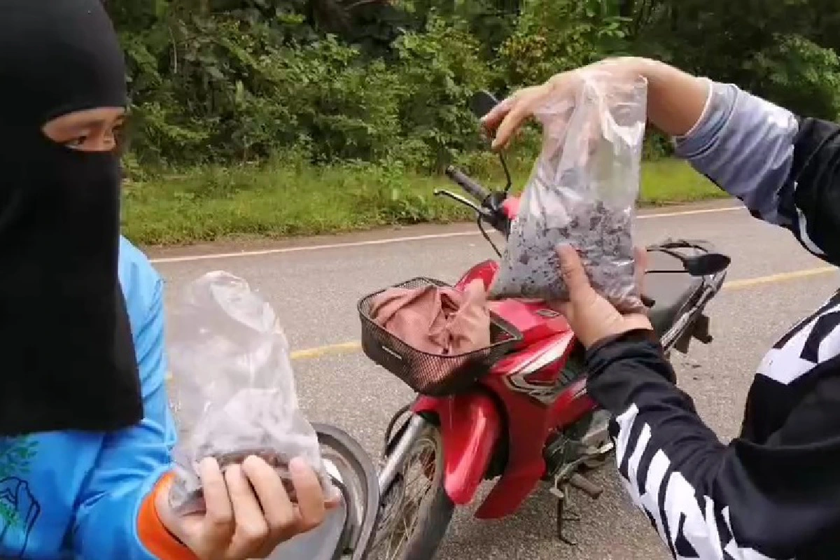 ชาวแม่แจ่มตื่น! แห่เก็บหินประหลาดคล้ายอุกาบาต