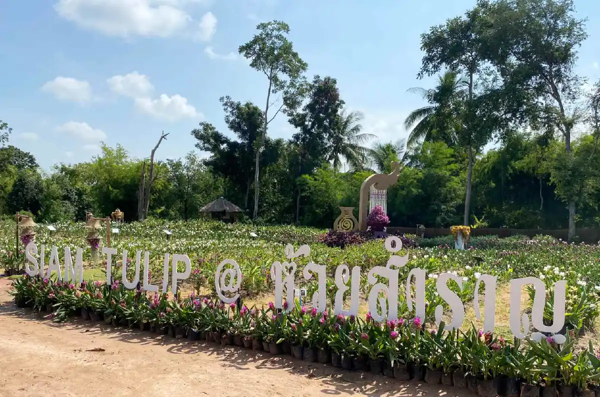 เช็กอินอุดรฯ ดินแดนแห่งศรัทธา