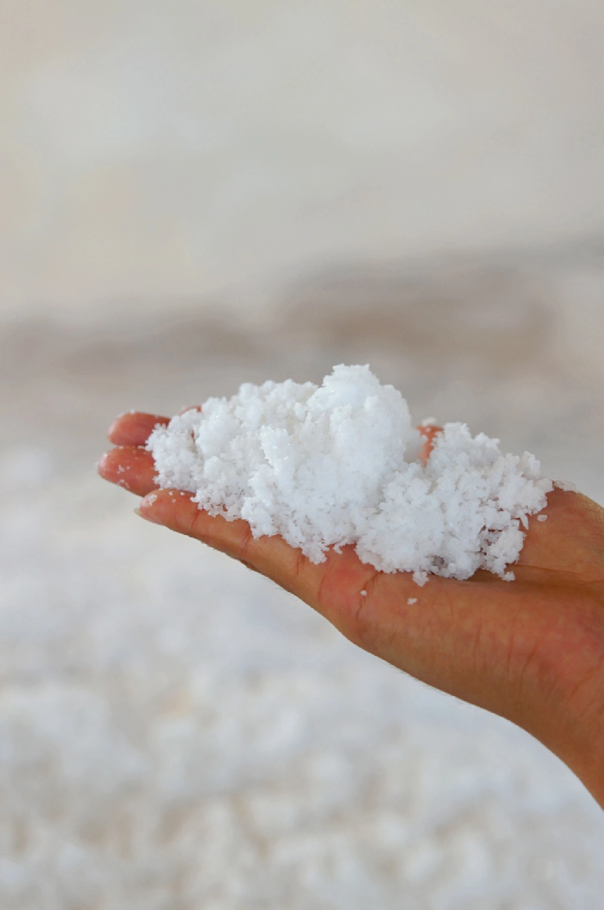 เช็กอินอุดรฯ ดินแดนแห่งศรัทธา