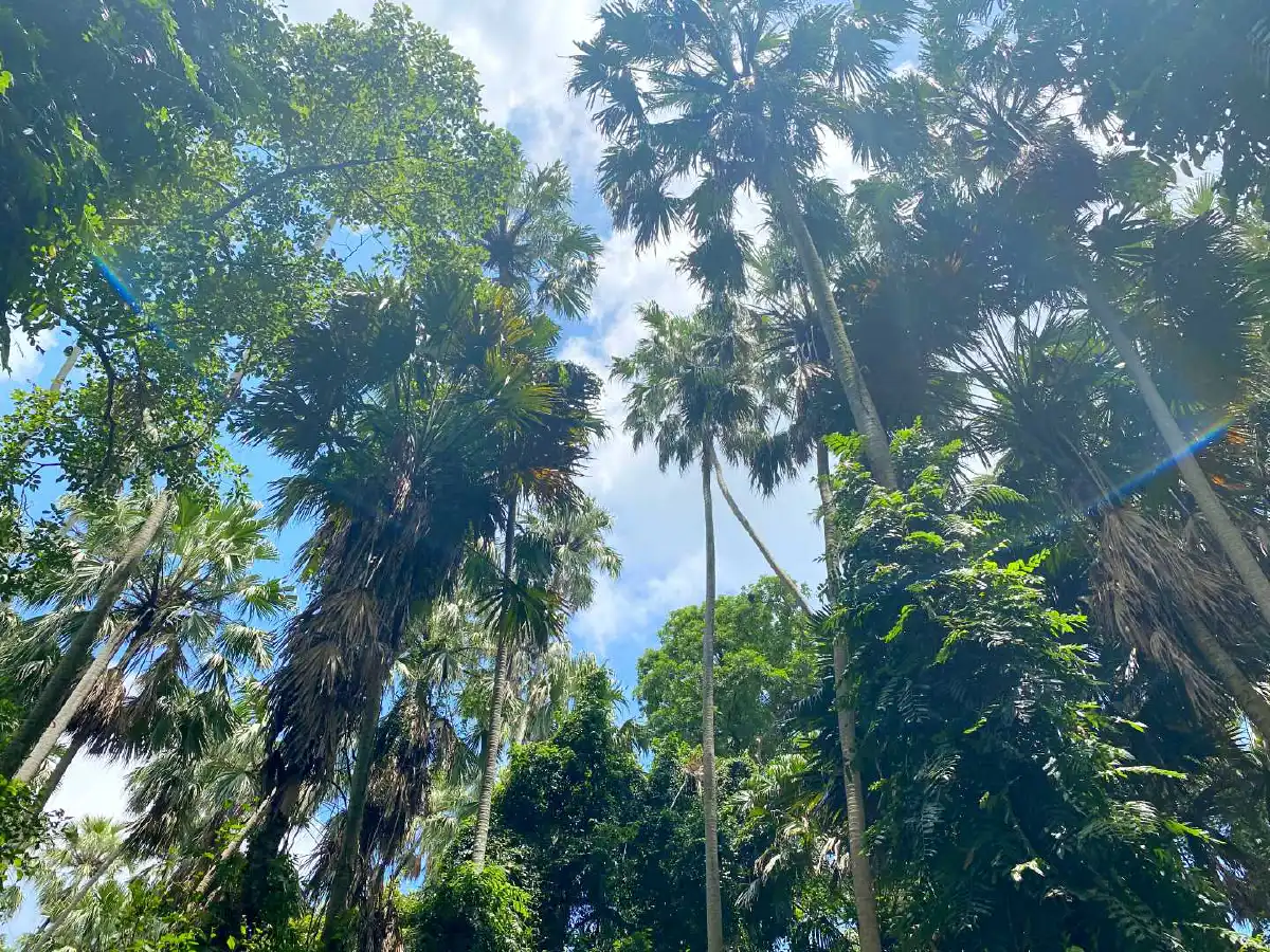 เช็กอินอุดรฯ ดินแดนแห่งศรัทธา