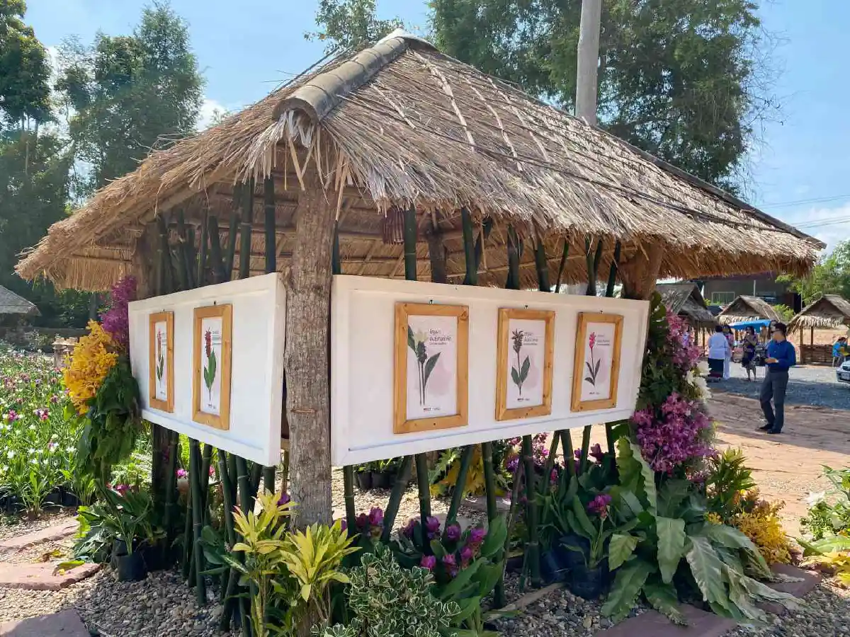 เช็กอินอุดรฯ ดินแดนแห่งศรัทธา