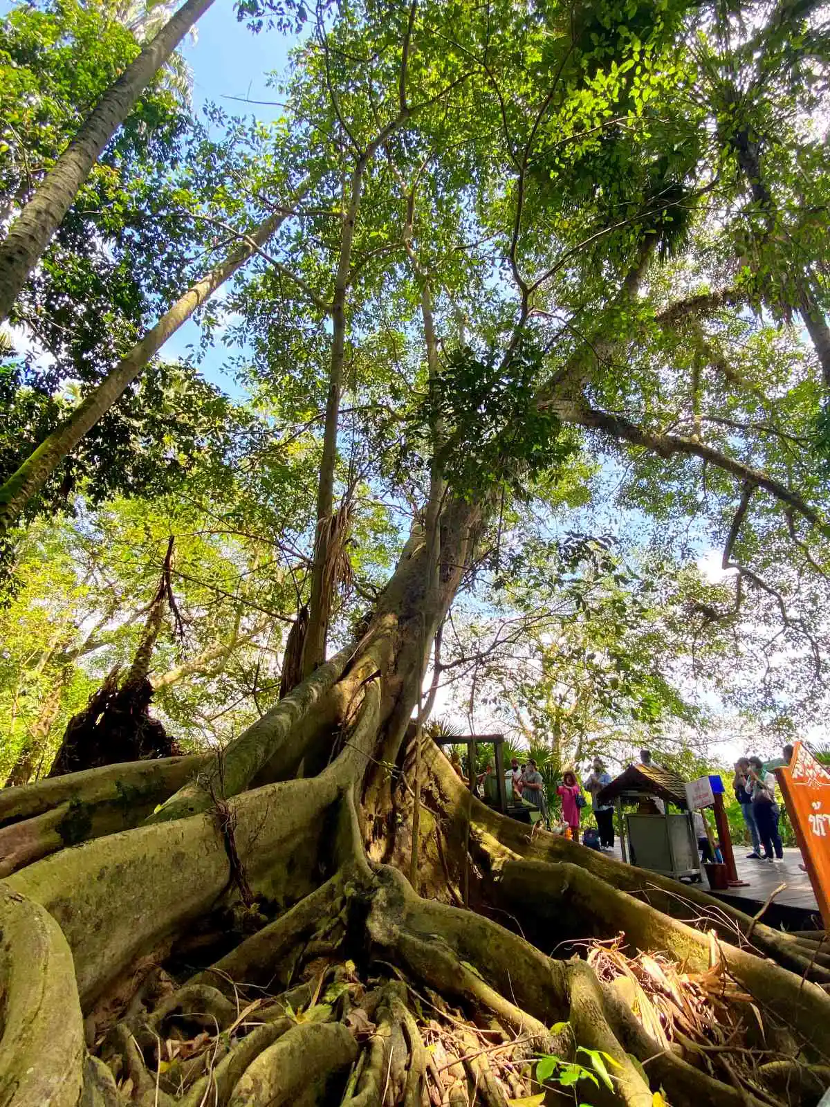 เช็กอินอุดรฯ ดินแดนแห่งศรัทธา