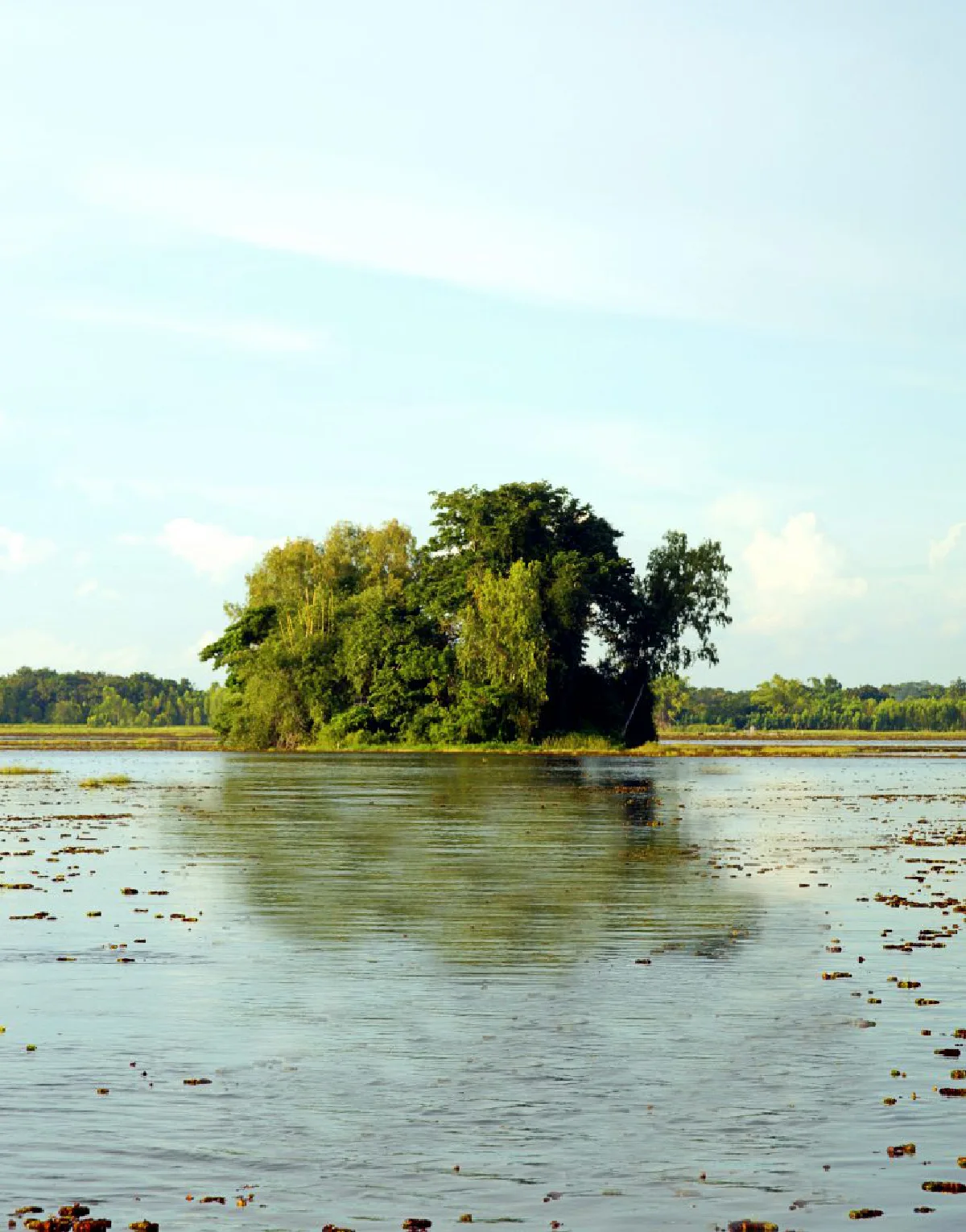 เช็กอินอุดรฯ ดินแดนแห่งศรัทธา