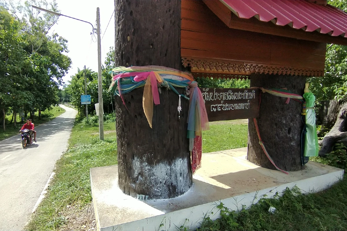 ใกล้วันหวยออก นักเสี่ยงโชคขอเลขเด็ด ต้นคะเคียนทางเข้าหมู่บ้าน