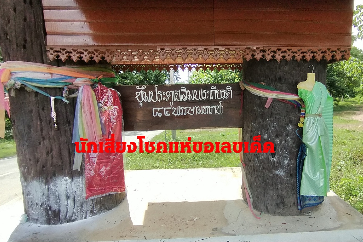 ใกล้วันหวยออก นักเสี่ยงโชคขอเลขเด็ด ต้นคะเคียนทางเข้าหมู่บ้าน ใกล้วันหวยออก นักเสี่ยงโชคขอเลขเด็ด ต้นคะเคียนทางเข้าหมู่บ้าน