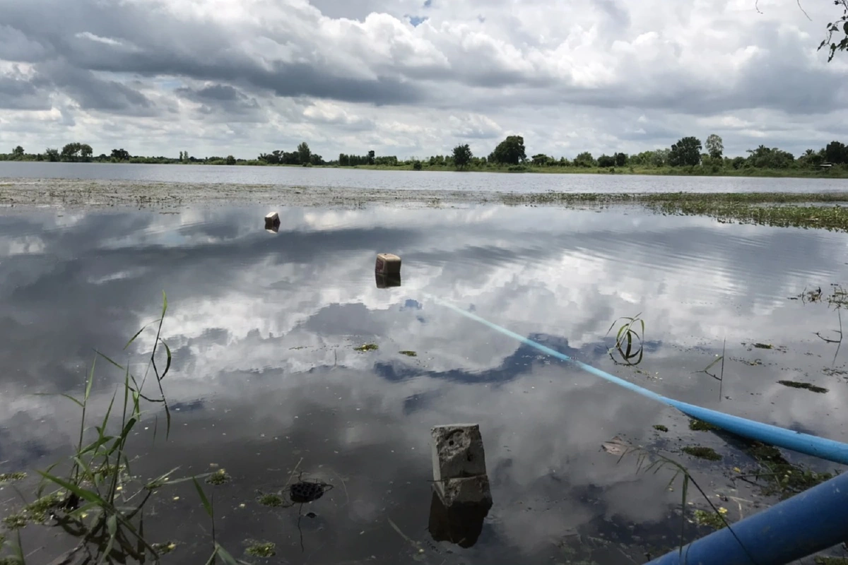 น้ำประปาเหม็นสาเหตุวัชพืชเน่า ชาวบ้านหลายครัวเรือนเดือดร้อน