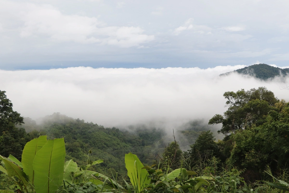 ไปเที่ยวกัน? ทะเลหมอกปกคลุมบนดอยหมู่บ้านแม่แจ๋ม