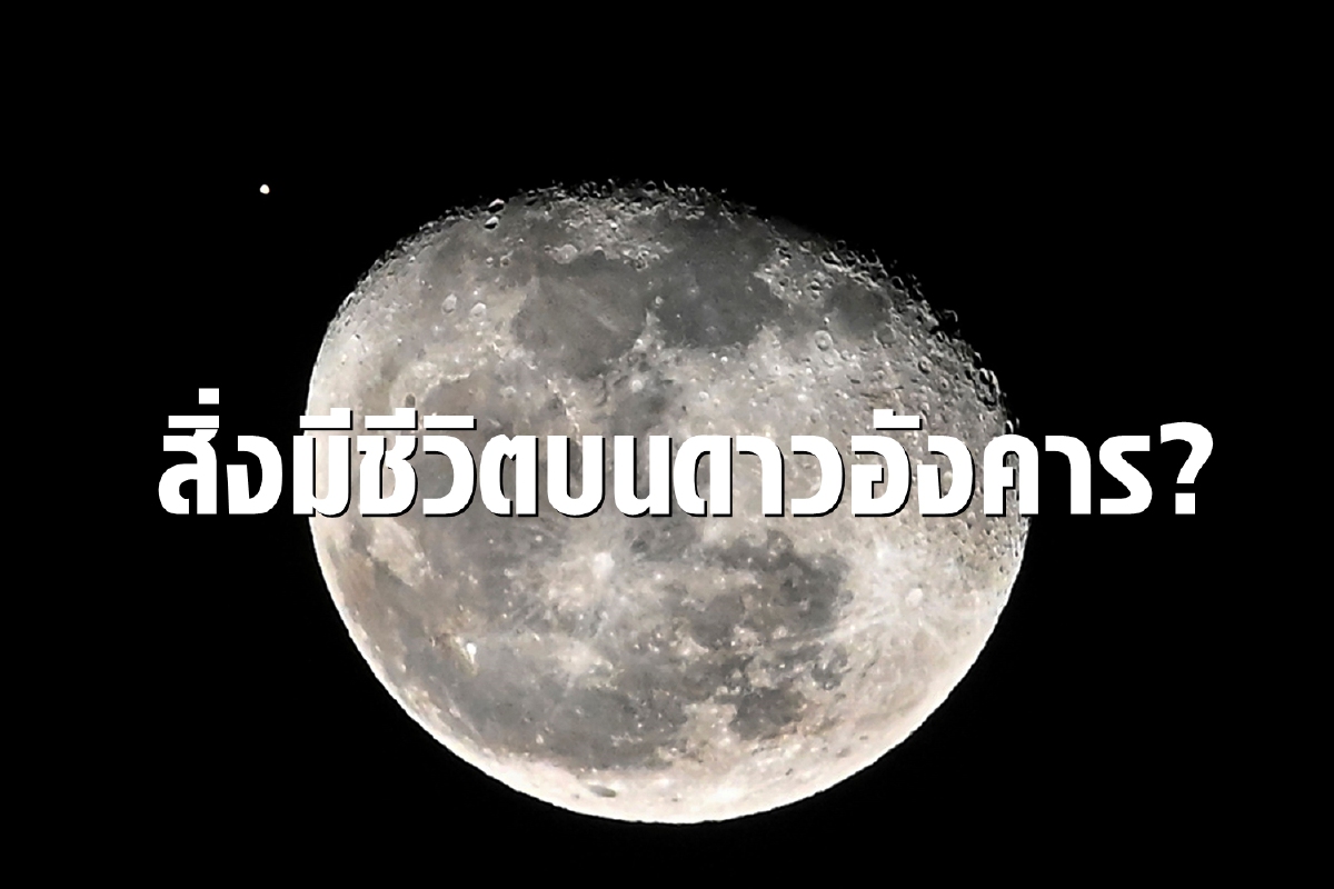 พบทะเลสาบใต้ผิวดาวอังคาร นักวิทย์หวังอาจมีสิ่งมีชีวิต พบทะเลสาบใต้ผิวดาวอังคาร นักวิทย์หวังอาจมีสิ่งมีชีวิต