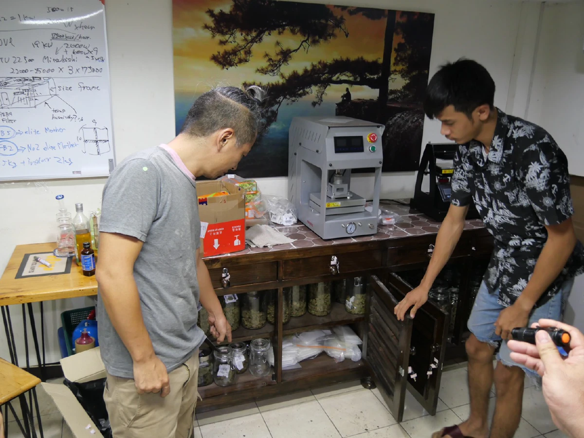 จับแก๊งญี่ปุ่น-ไทยลักลอบปลูกกัญชาออร์แกนิกพรีเมี่ยมขายออนไลน์