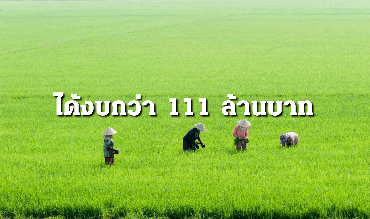 ปี'64 กระทรวงเกษตรฯ รับงบประมาณ 111,832.5171 บาท ปี'64 กระทรวงเกษตรฯ รับงบประมาณ 111,832.5171 บาท