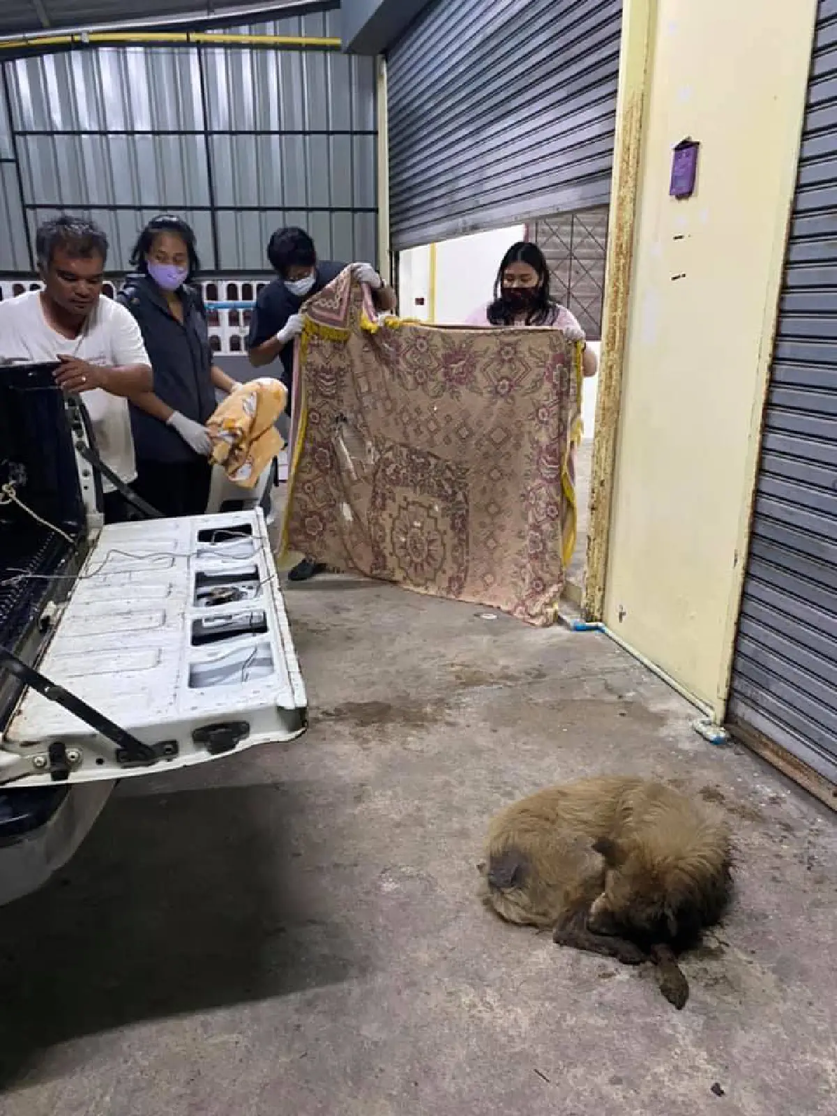 หนึ่งชีวิตก็มีค่า!ชาวคริสต์ภูเก็ตช่วยสุนัขจรจัดตาหลุดจนรอดตาย