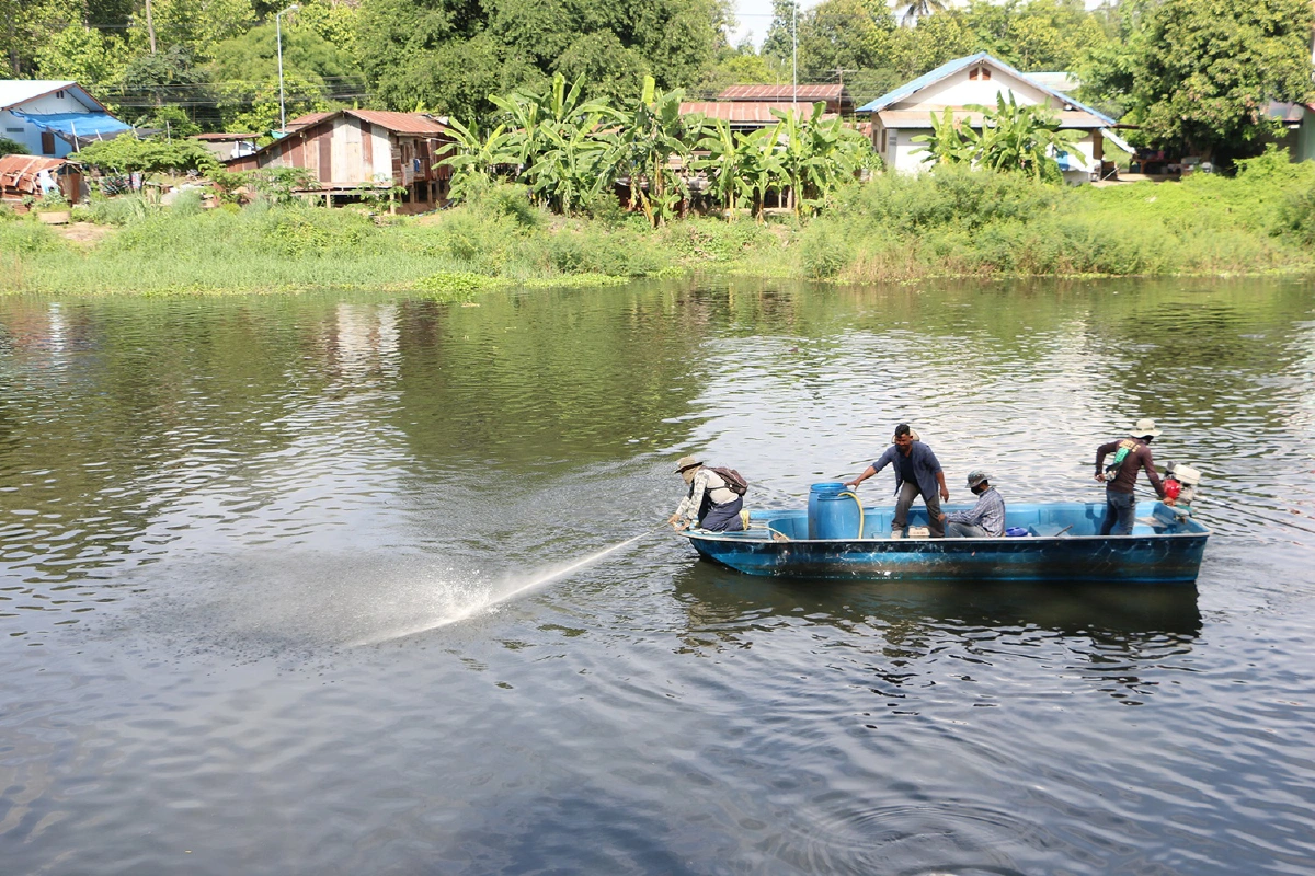 ผู้ว่าฯพิจิตรลุยแก้แม่น้ำเน่าปลาตาย"พ่นน้ำหมักจุลินทรีย์เติมน้ำดีไล่น้ำเสีย"