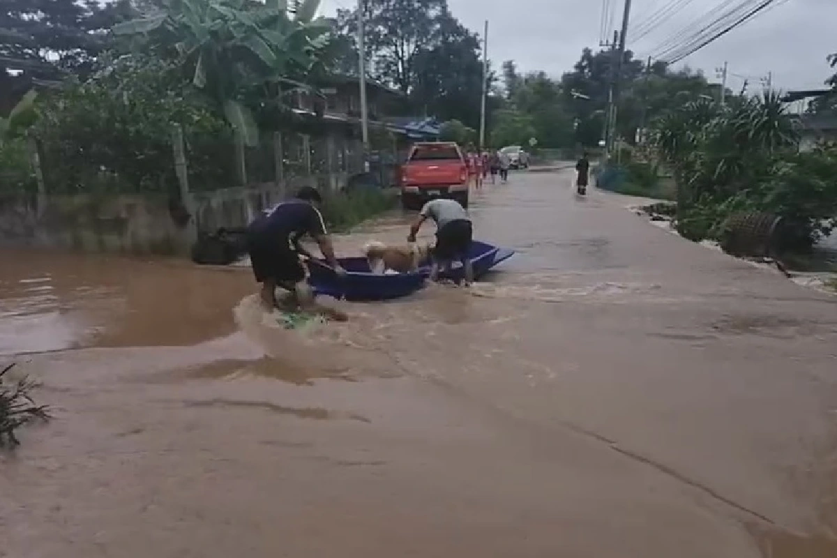 น้ำป่าเขาใหญ่ทะลักท่วมปากช่อง ชาวบ้านขนของขึ้นที่สูง