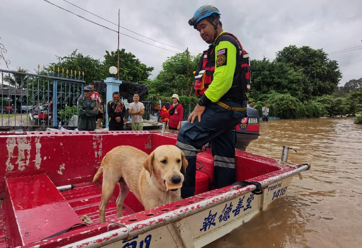 มวลน้ำก้อนใหญ่ถึงปากช่องใช้โดรนช่วยอพยพคนหนีท่วม