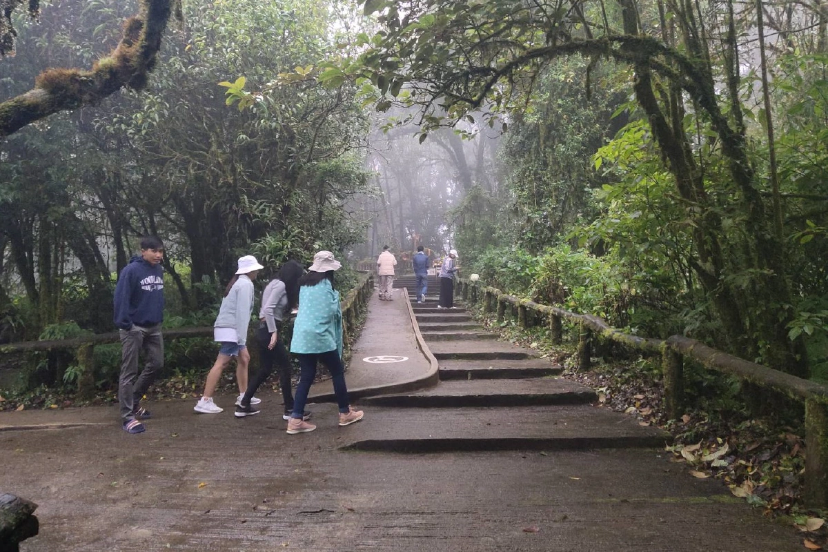 ฤดูหนาวมาแล้ว กิ่วแม่ปานอุณหภูมิแตะ10องศา
