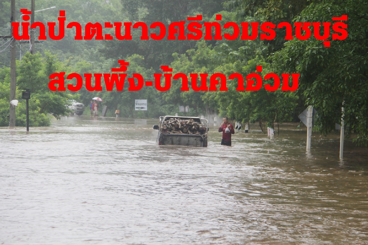 น้ำป่าเทือกเขาตะนาวศรีหลากท่วมราชบุรี สวนผึ้ง-บ้านคาอ่วม น้ำป่าเทือกเขาตะนาวศรีหลากท่วมราชบุรี สวนผึ้ง-บ้านคาอ่วม