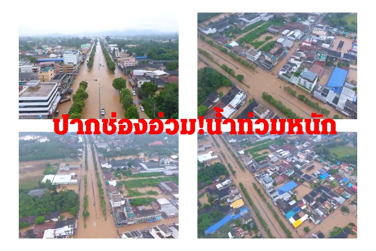 น้ำป่าเขาใหญ่หลากท่วมปากช่องอ่วมทั้งเมือง น้ำป่าเขาใหญ่หลากท่วมปากช่องอ่วมทั้งเมือง