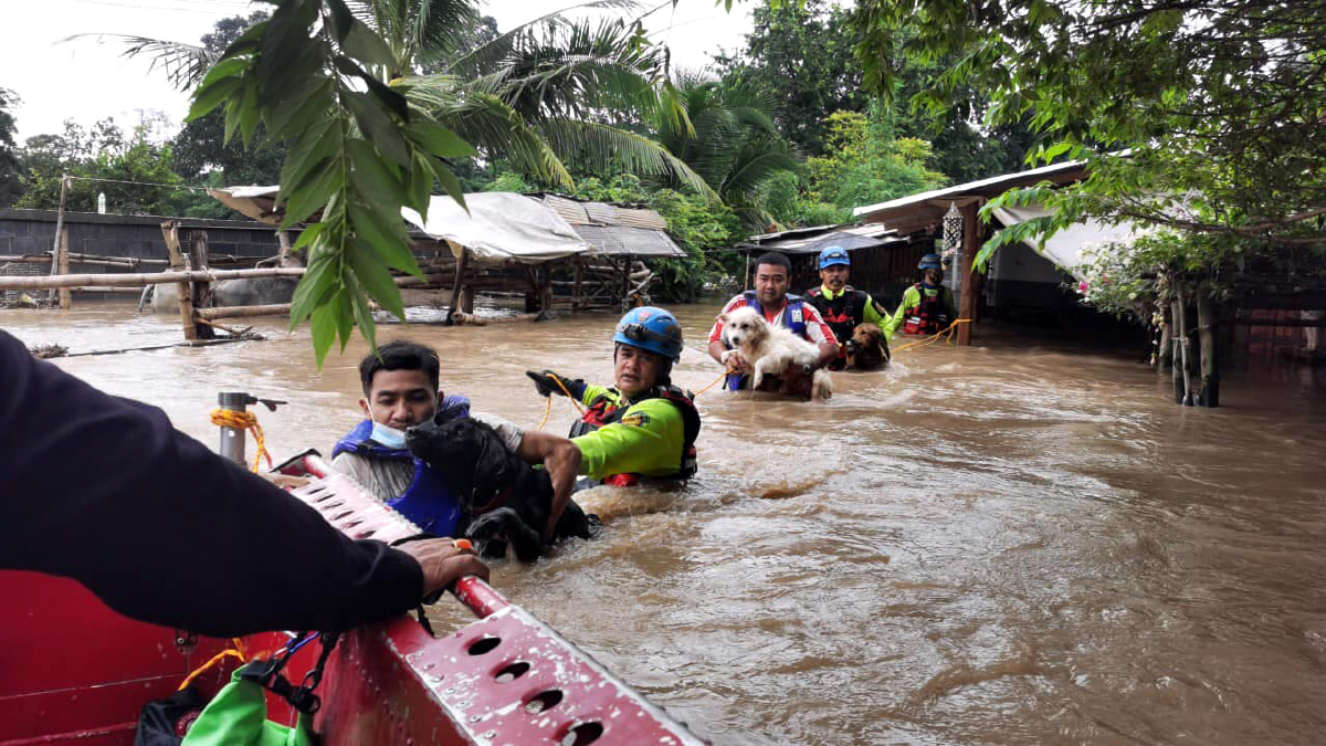 พิษฝนตกหนัก 11 จังหวัดระทม 1,075 ครัวเรือนเดือดร้อนหนัก พิษฝนตกหนัก 11 จังหวัดระทม 1,075 ครัวเรือนเดือดร้อนหนัก