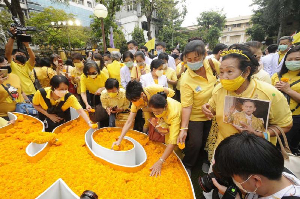 "ศิริราช"นำดอกดาวเรืองวางประดับผ่านสัญลักษณ์เลข ๙ "ศิริราช"นำดอกดาวเรืองวางประดับผ่านสัญลักษณ์เลข ๙