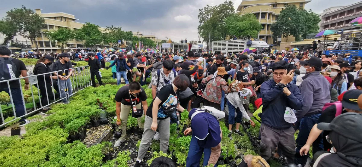 บิ๊กเซอร์ไพร์สแรก!ม็อบคณะราษฎรบุกรื้อต้นไม้-เข้ายึดอนุสาวรีย์ประชาธิปไตย