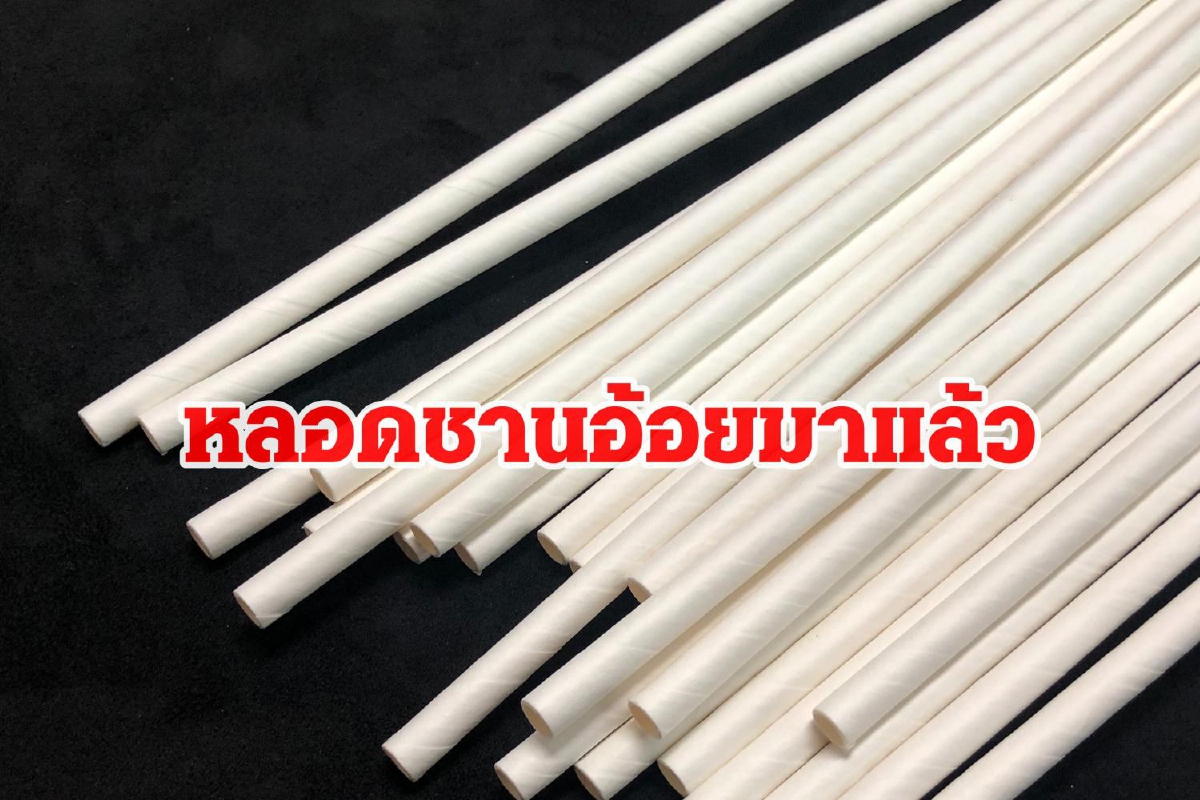 KTIS ผลิตหลอดชานอ้อย ทำตลาดรายแรกในไทย KTIS ผลิตหลอดชานอ้อย ทำตลาดรายแรกในไทย
