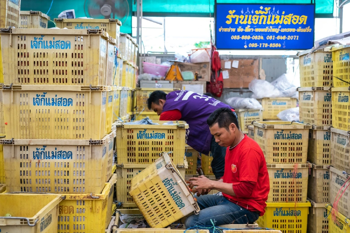 “เจ๊กี้แม่สอด” การันตีด้วยคุณภาพ บุกเบิกมาพร้อม “ตลาดสี่มุมเมือง” เริ่มจากแผงค้าผักธรรมดา สู่ผู้ค้า “มะเขือเทศ” ระดับประเทศ 
