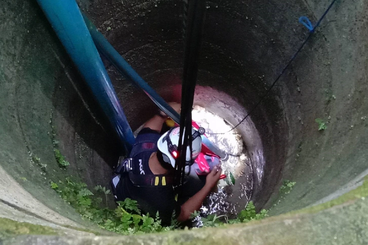 สุนัขตกบ่อลึก8เมตร ร้องโหยหวน กู้ภัยรุดช่วยเหลือจนรอด