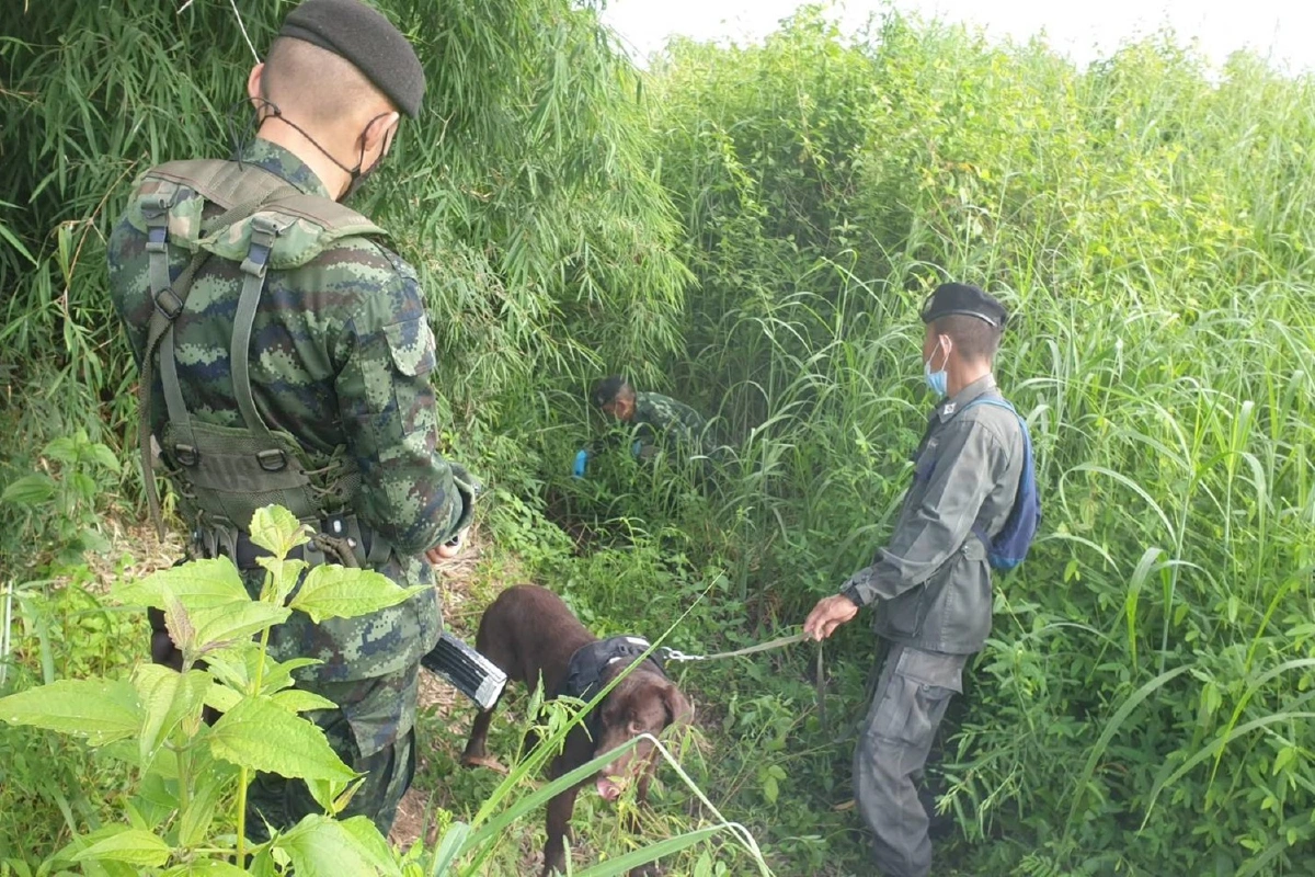 ตำรวจตากระดมกำลังล่าตัว2อูยกรู์แหกห้องขัง