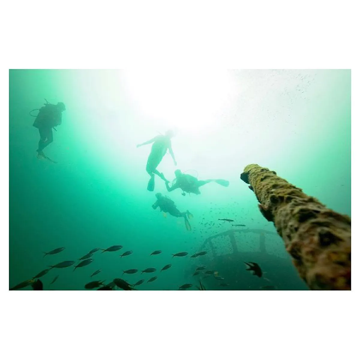 “เวียร์-เบลล่า" อวดภาพหวานใต้น้ำ หลังจูงมือกันไปเรียนดำน้ำ